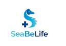 DMLA sèche : SeaBeLife obtient des résultats d’efficacité précliniques très prometteurs pour SBL03, sans injection dans l’œil